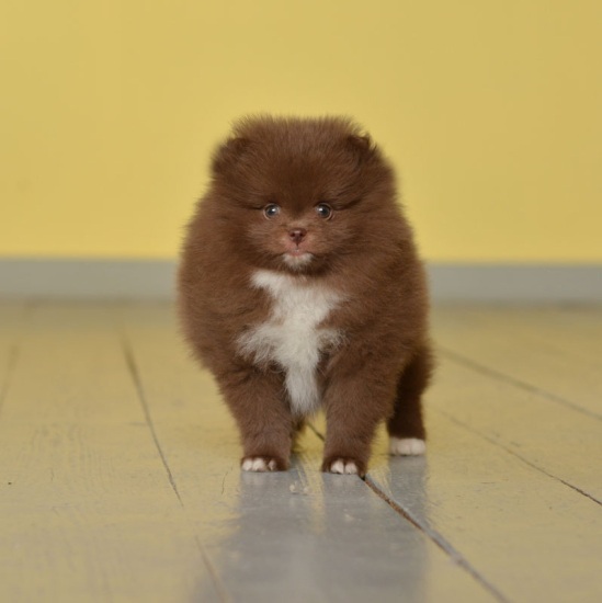 7 weeks 2