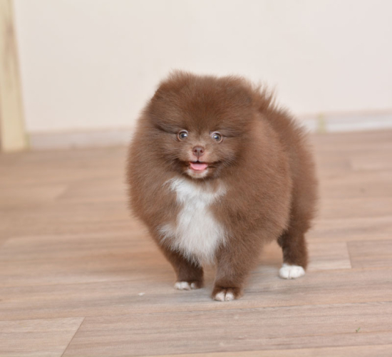 8 weeks 3