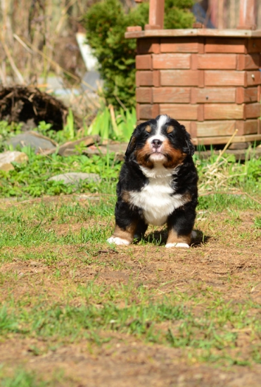 5 weeks 2