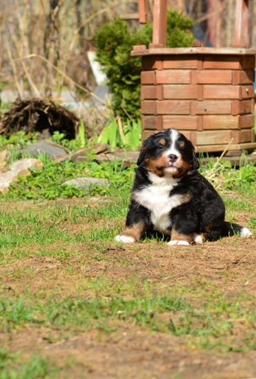 5 weeks 3