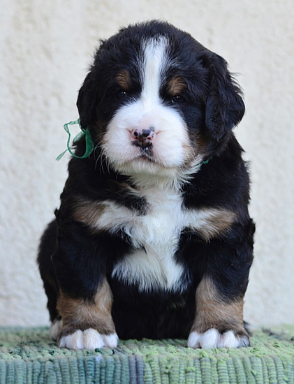 4 weeks 3