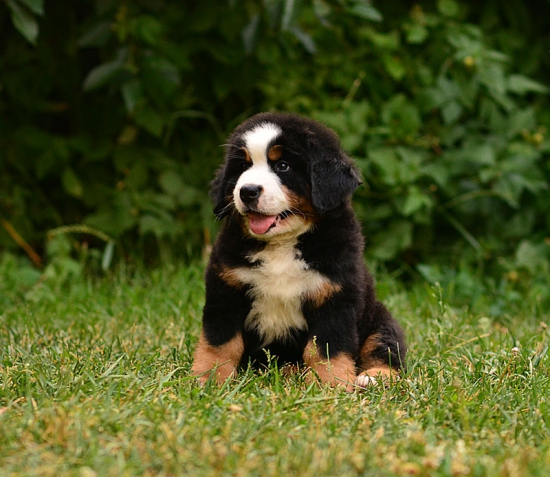 8 weeks 4