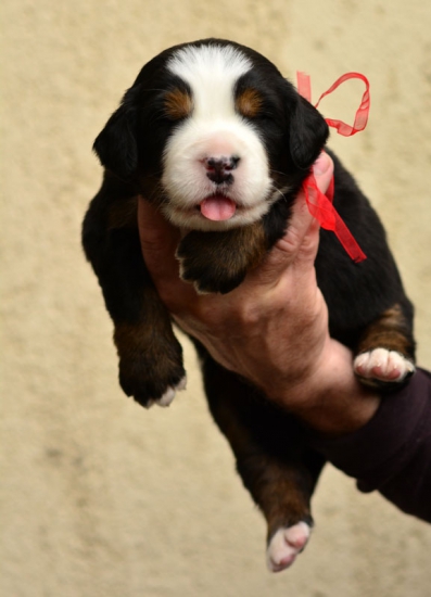 m red 3 weeks