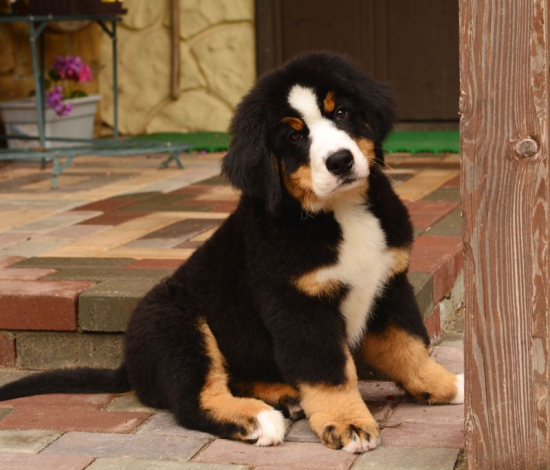 12 weeks 1