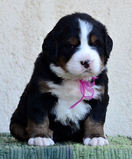 4 weeks