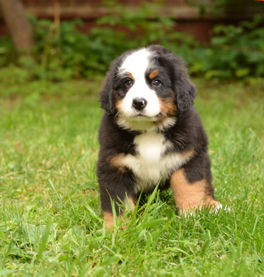 7 weeks 1