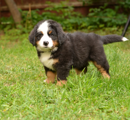 7 weeks 2