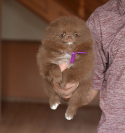 7 weeks