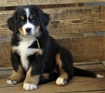 hilda 9weeks 1