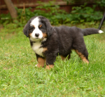 7 weeks 2