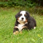 7 weeks 3