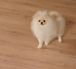 6 m 