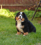 9 weeks 6