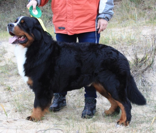 opus17k riga 29 10 2011