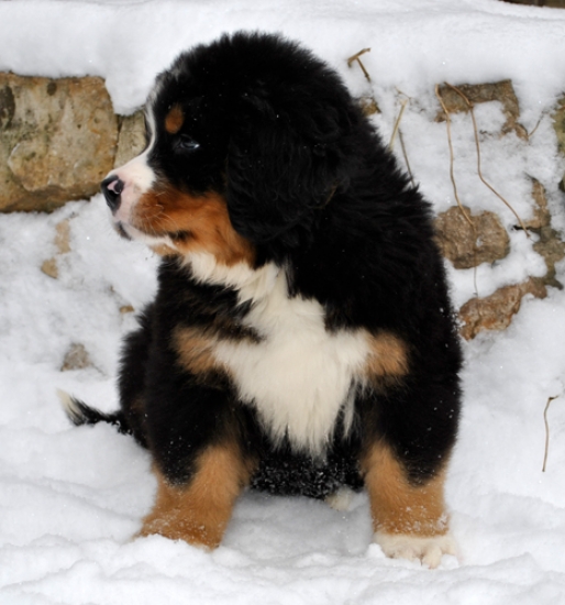 k green 8weeks 13