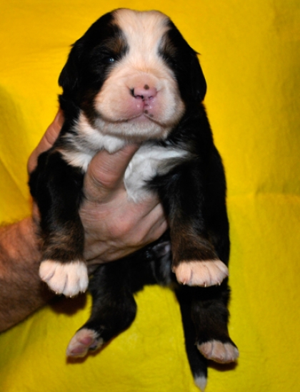 k green 2weeks