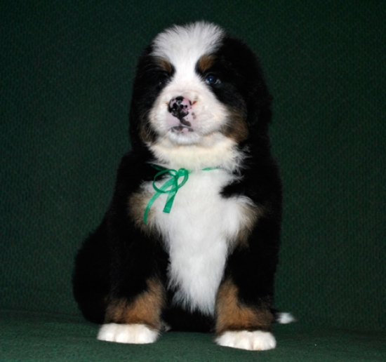 k green 6weeks