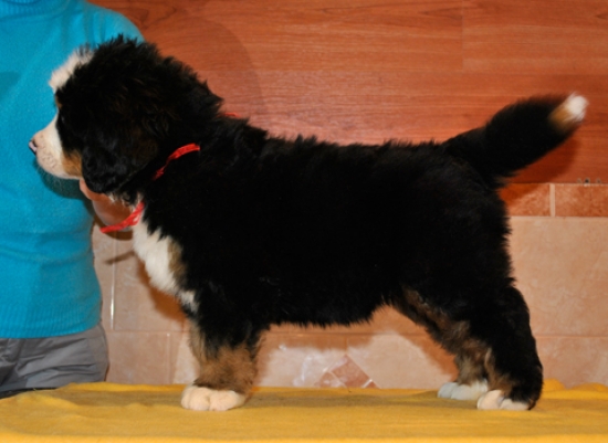 k red 7weeks 3
