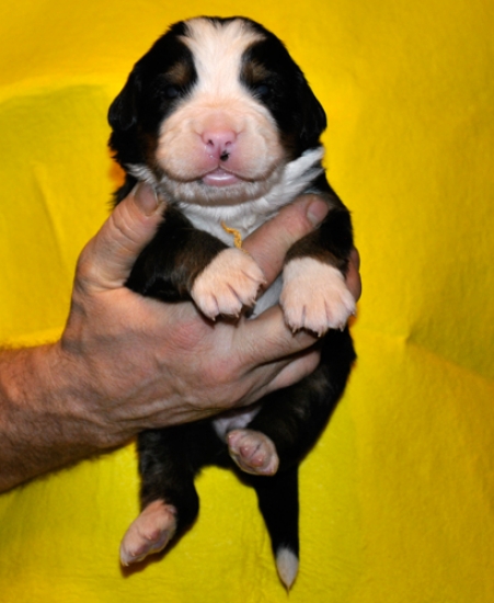 s yellow 2weeks