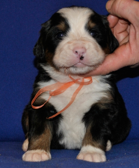 s yellow 3weeks