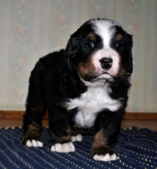 4weeks 3