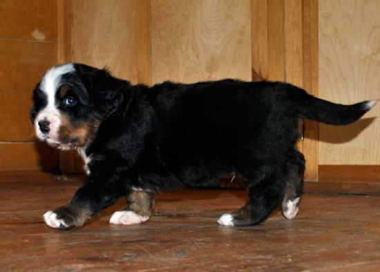 4weeks 4