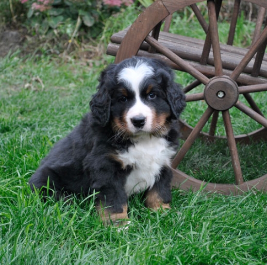 6 weeks 6