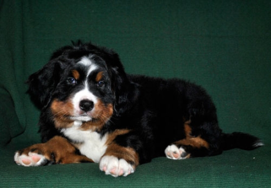 7 weeks 8