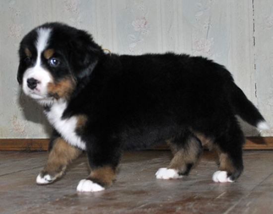 5 weeks 9