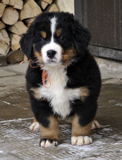 7 weeks 2