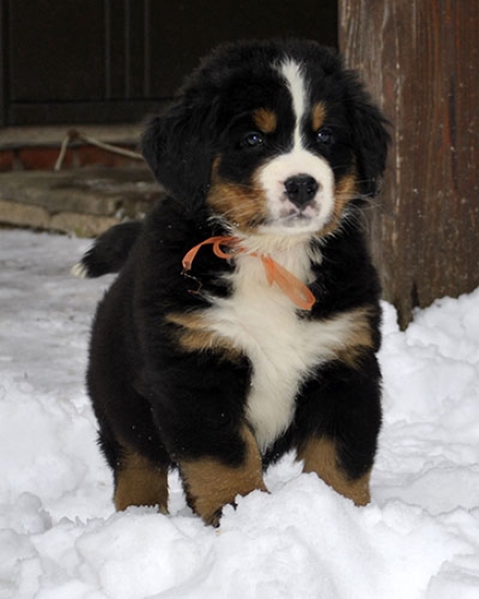 7 weeks 7