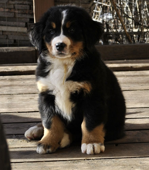 hilda 9weeks
