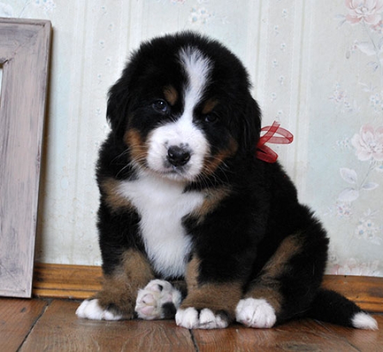 5 weeks 8