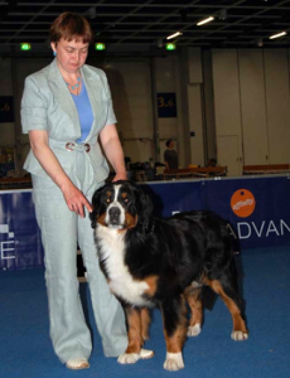 evropa 2006