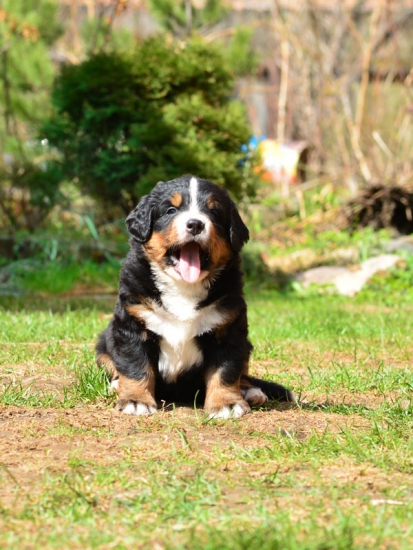 5 weeks 3