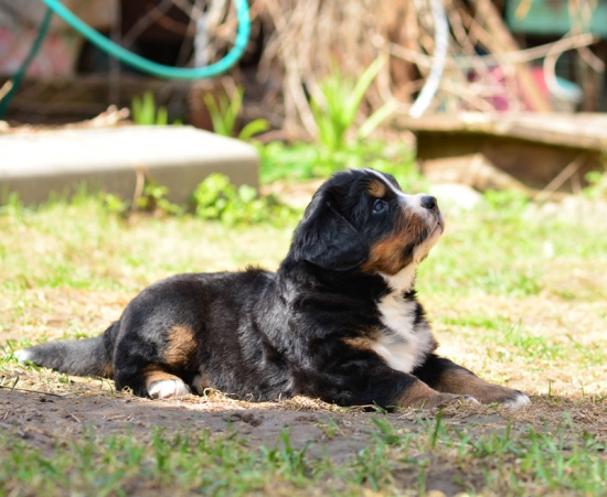 5 weeks 8