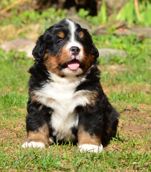 5 weeks 5 