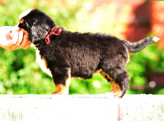 5 weeks 2