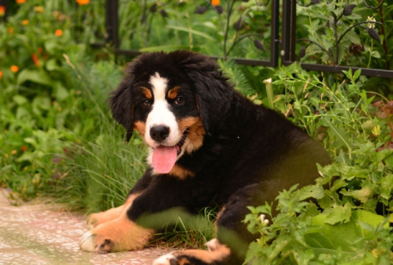 11 weeks 5