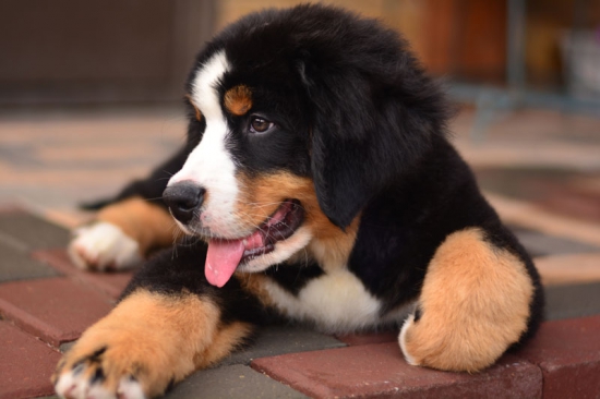 12 weeks 10