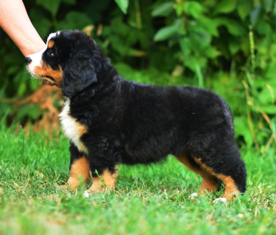 8 weeks 1