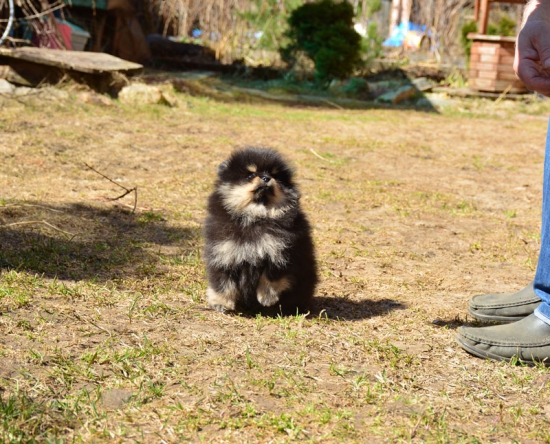8 weeks 1