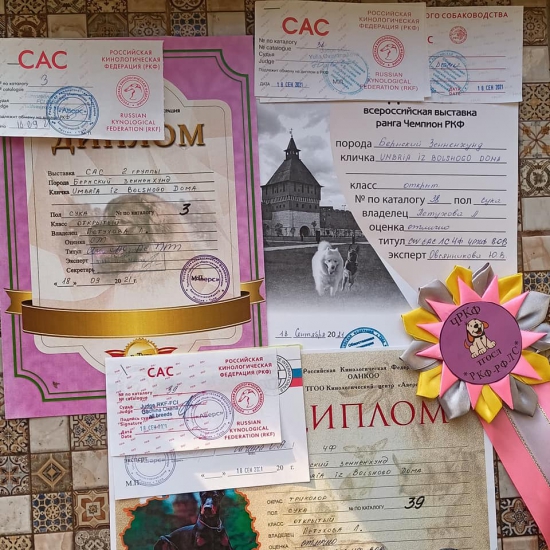 cac tula 18 09 2021 3