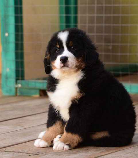 9 weeks 8