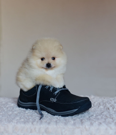 5 weeks 1