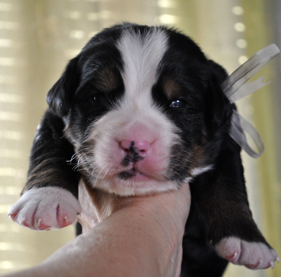 m white 2 weeks
