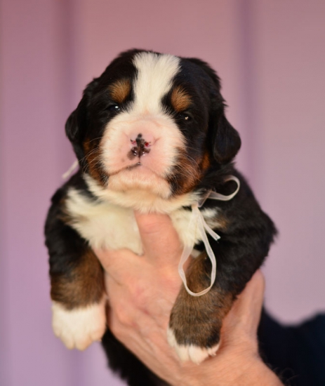 m white 3 weeks