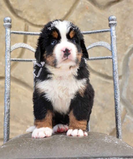 m white 5 weeks 3