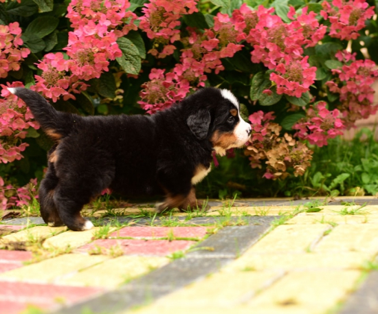 5 weeks 7
