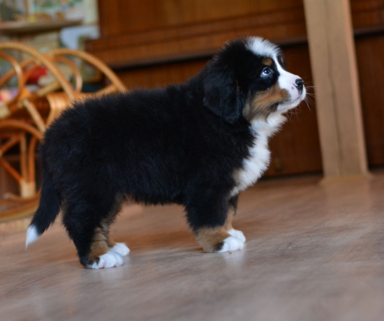 7 weeks 9